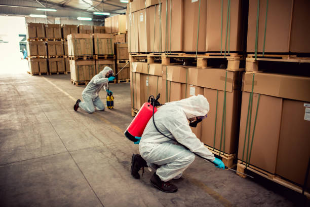  Pinehurst, ID Pest Control Pros