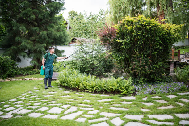 Best Exterminator Services  in Pinehurst, ID