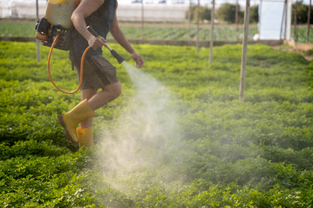 Pest Prevention Services in Pinehurst, ID