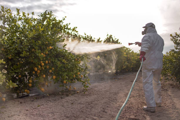 Best Pest Inspection Near Me  in Pinehurst, ID