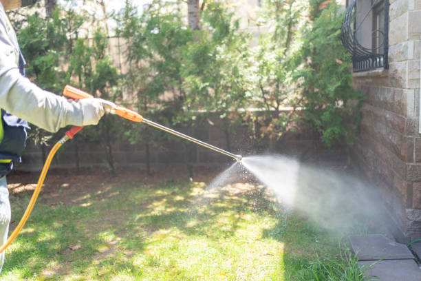 Best Pest Removal Services  in Pinehurst, ID