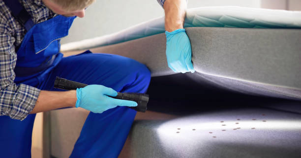 Best Local Pest Control Services  in Pinehurst, ID