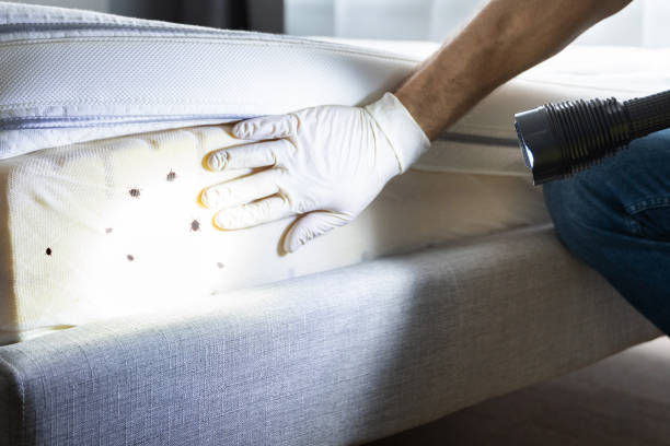 Best Pest Control for Businesses  in Pinehurst, ID