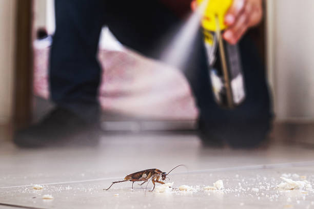 Best Mosquito Control Services  in Pinehurst, ID