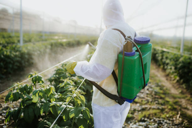Best Residential Pest Control  in Pinehurst, ID